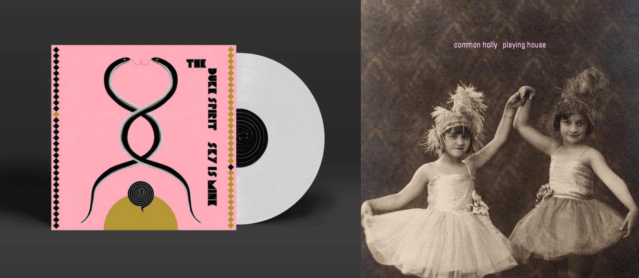 duke spirit common holly