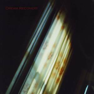 dream recovery