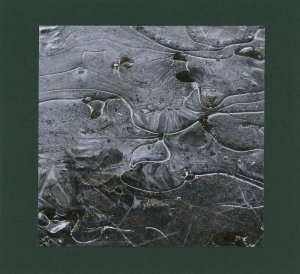 Adrian Dziewanski – The Trail Loops Back