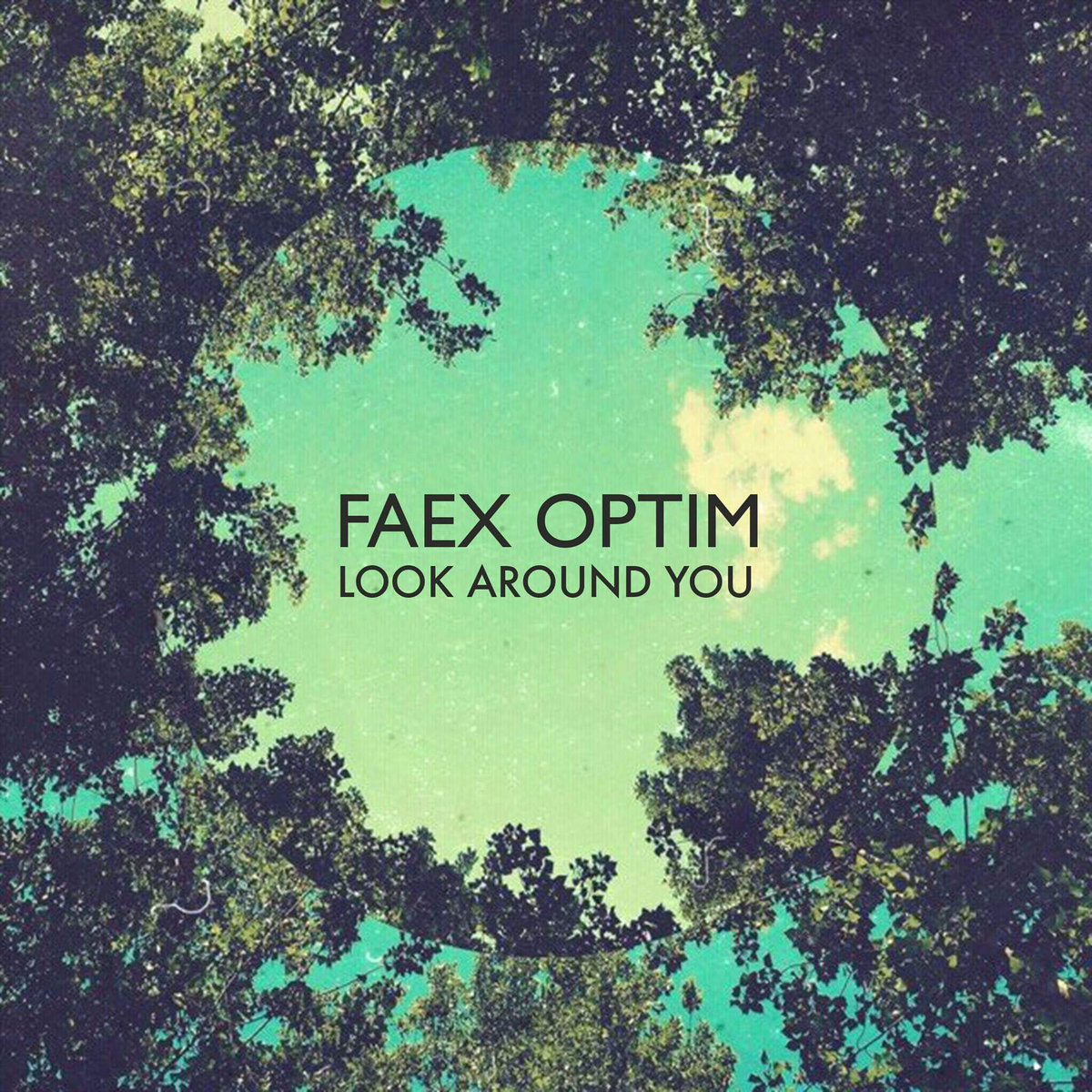 Faex Optim